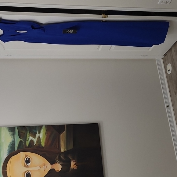 NWT - Bcbg gown - Picture 3 of 7